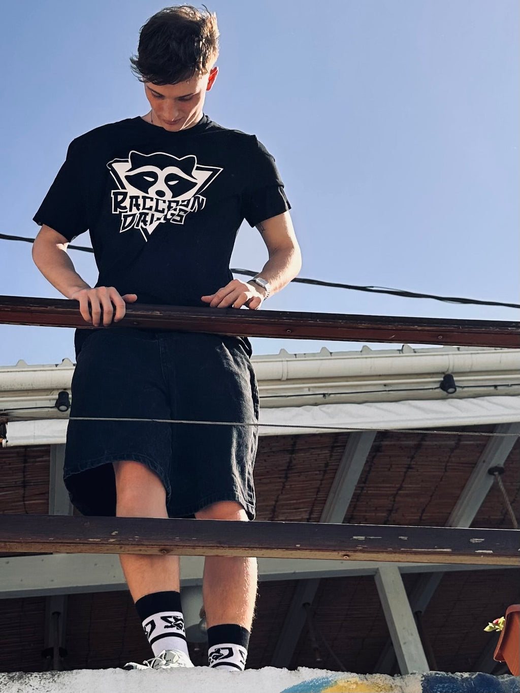 San Kakumei - Raccoon Dawgs